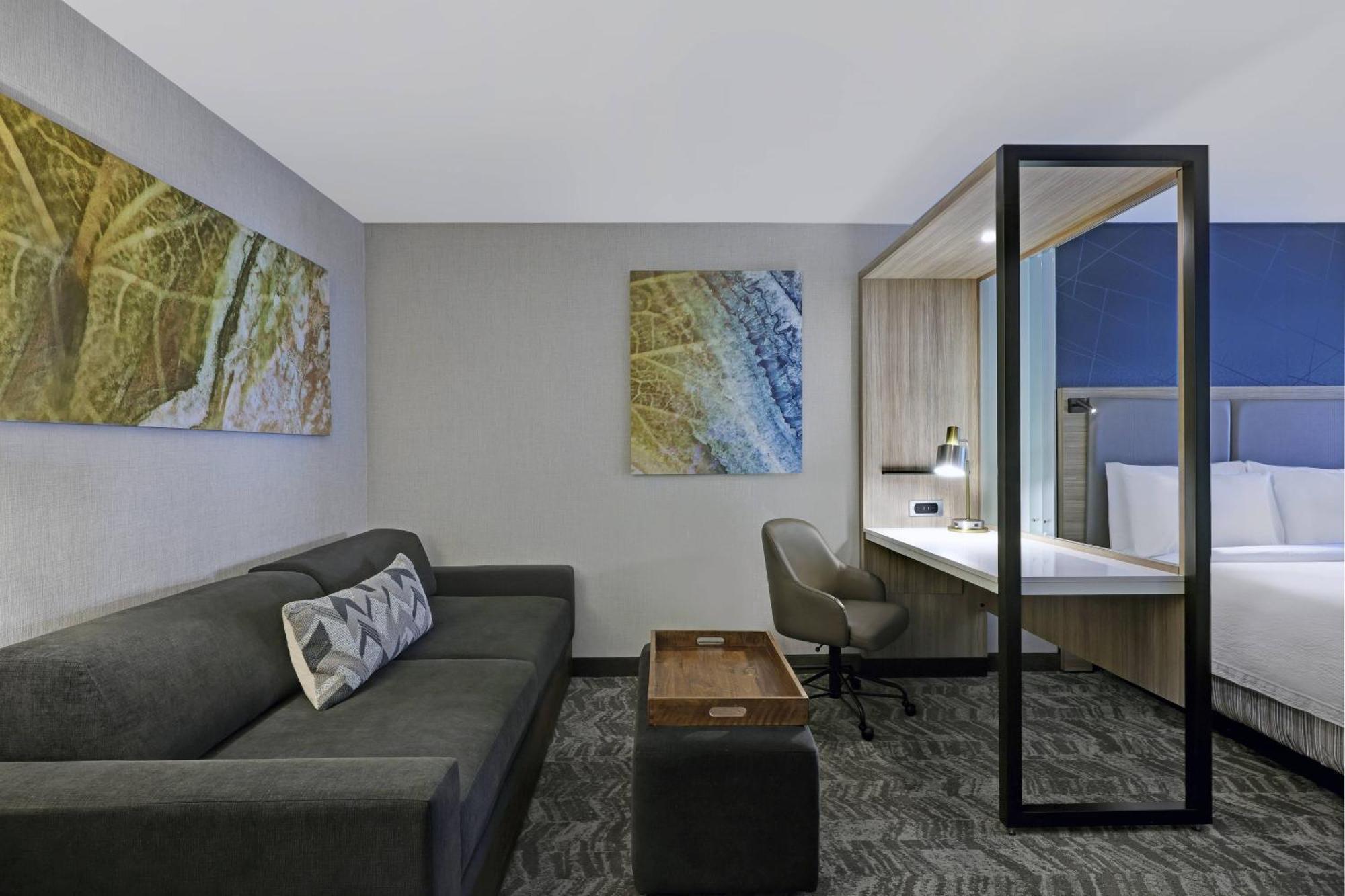 Springhill Suites By Marriott Palm Desert Exteriér fotografie